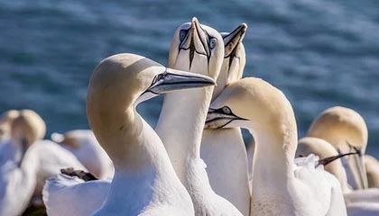 AYX官网-中国三人女篮坚持科学训练，中国队三人女篮