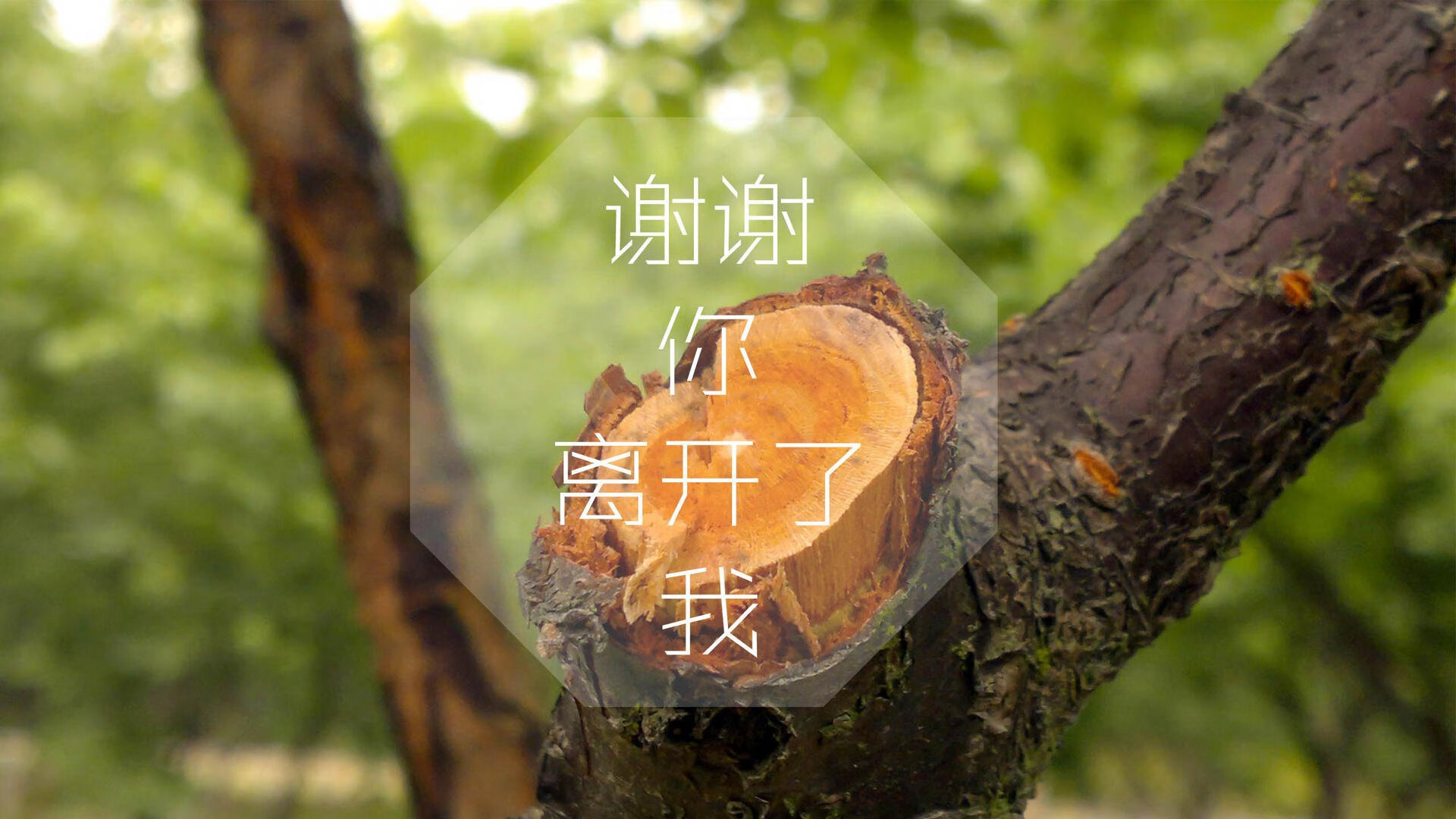 AYX GAMING-失误成败症：上海队失误高达20次，错失反超良机！