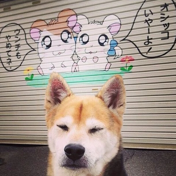 篮球专项耐力训练体系构建与应用研究，篮球耐力素质