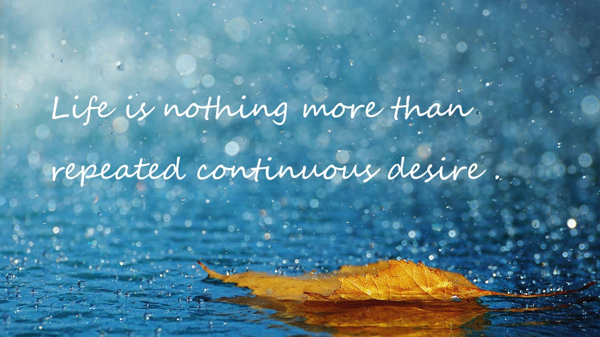 英超球队基于GPS数据制定个性化体能恢复方案，英超体能测试