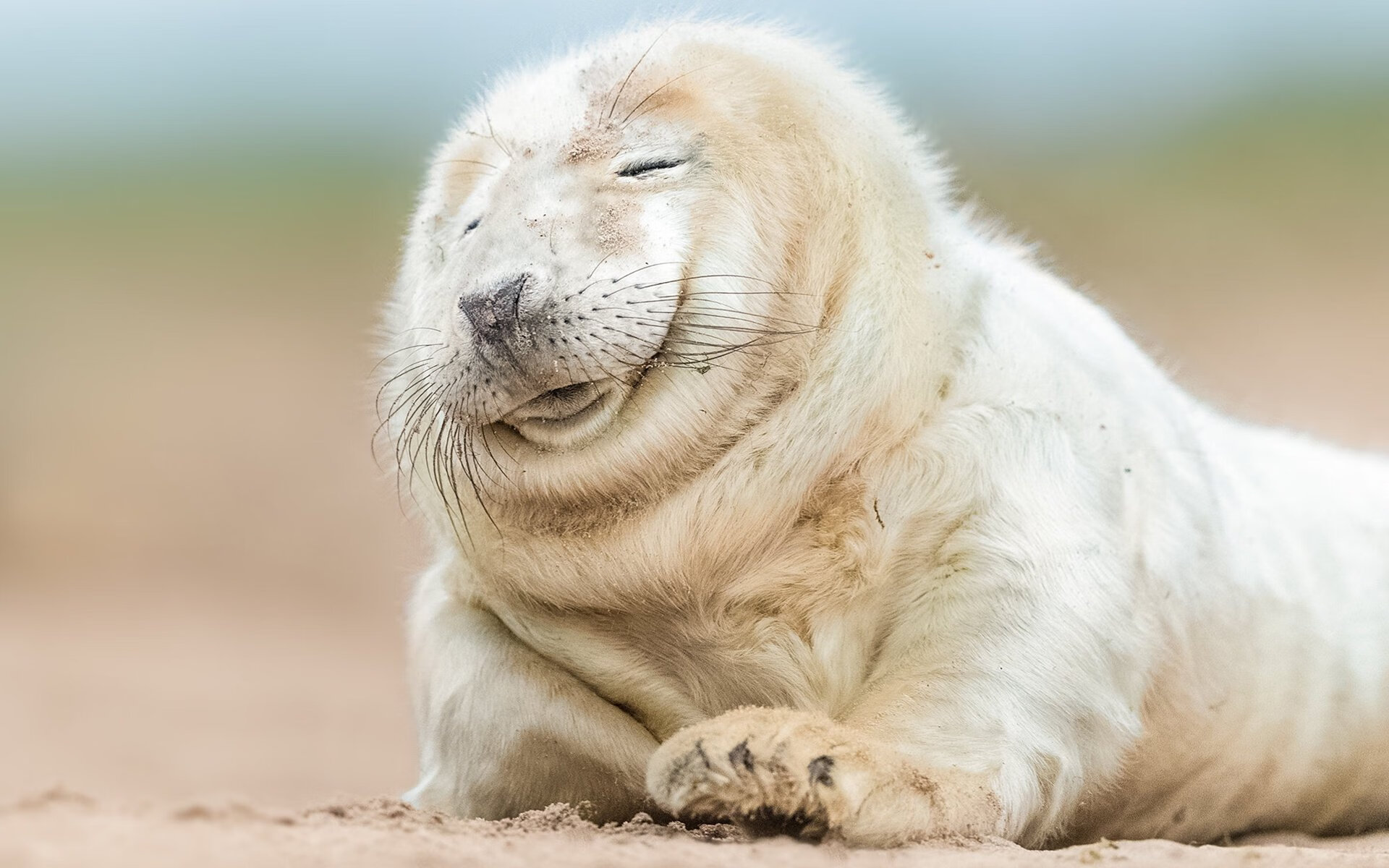 爱游戏官方网站-亚洲杯中国女足惨败 球员技术不足被曝光，中国女足惊动亚足联