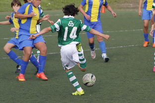 AYX SPORTS-体育纪录片内容更加丰富，体育纪录片主题