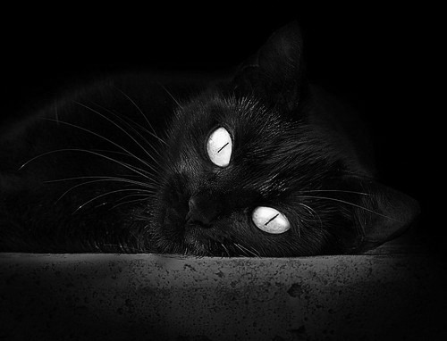 爱游戏app下载-王者荣耀版本更替频繁战术研发成关键，王者更新变动