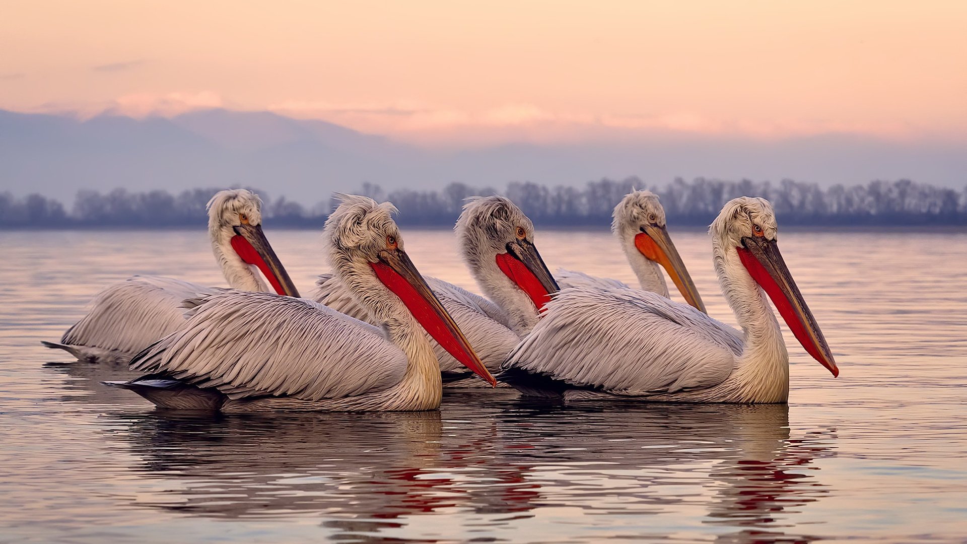 爱游戏官网-裁判培训系统升级提高判罚一致性成重点，裁判系统测评