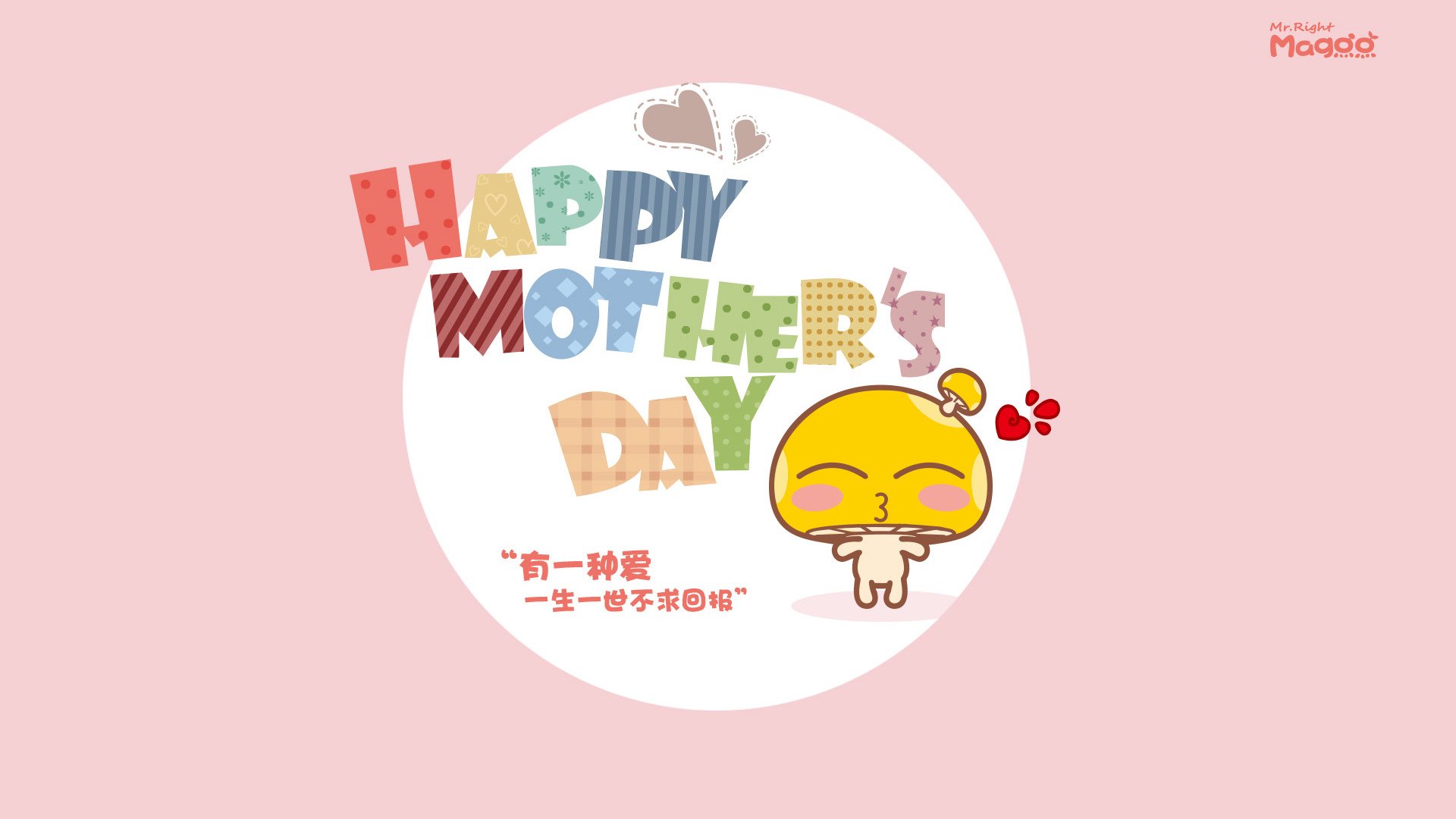 “南非羚羊队的辉煌复兴：萨尔·巴赫的带领下”