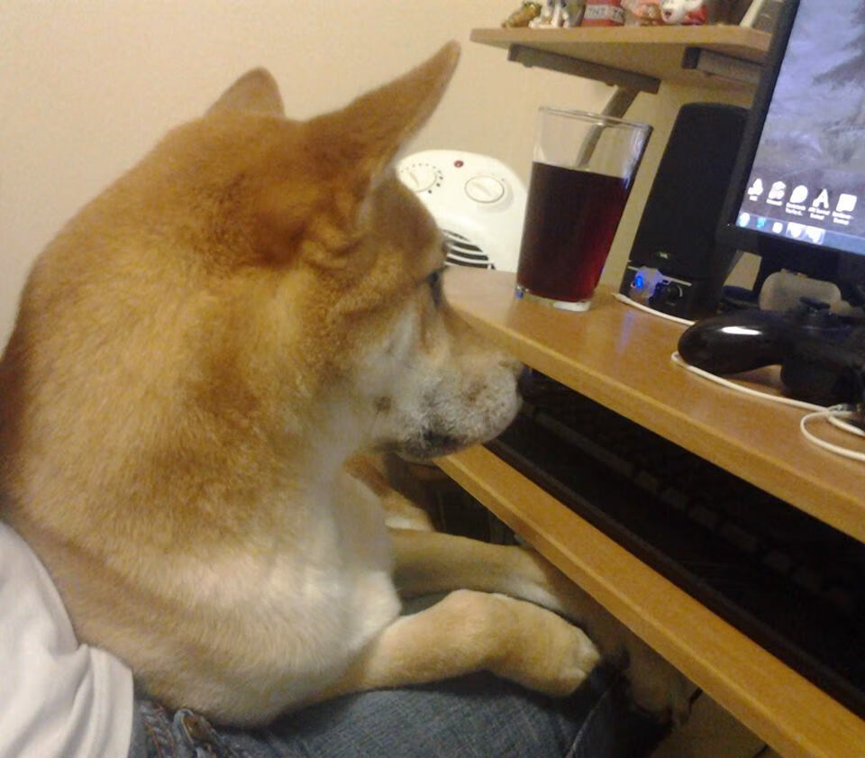 爱游戏体育官方网站-东京奥运会男篮预选赛激战正酣，期待各国球队争夺席位，东京奥运会男篮球资格赛