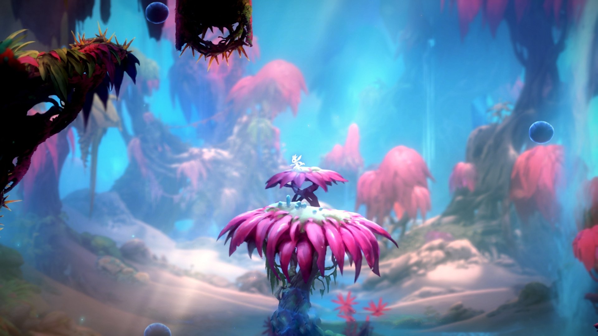 爱游戏体育app-凯琳·科贝特刷新个人最佳成绩引关注，凯特琳菲贝