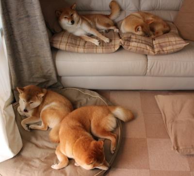 掘金组织内部赛模拟真实比赛节奏，掘金团队