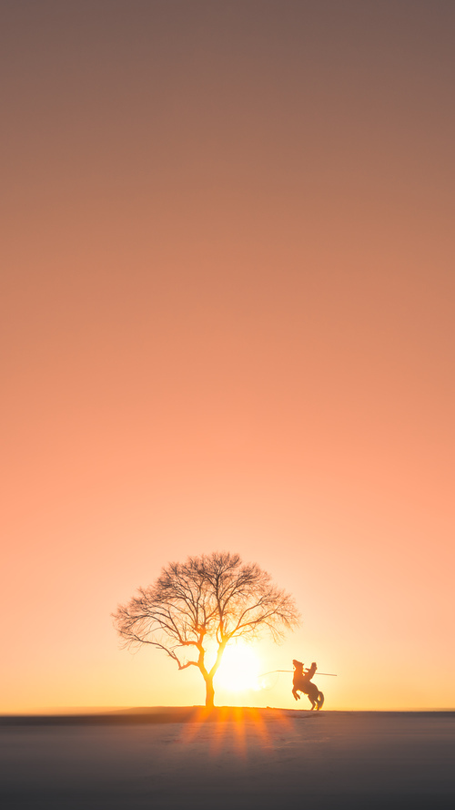 自由泳长距离奥地利耐力出众，奥运自由泳最慢记录