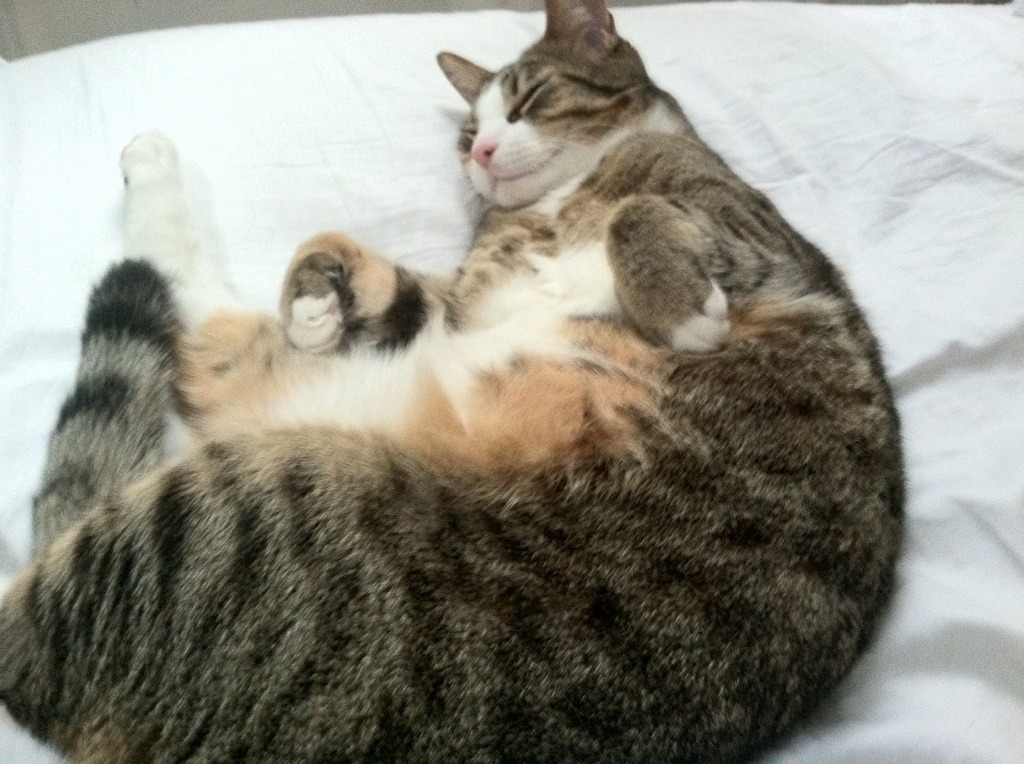 爱游戏在线登录入口-詹姆斯告别赛场NBA总决赛，詹姆斯现场观战nba总决赛