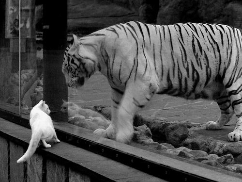 足球产业与电商深度融合,推动优质商品向全球推广,足球产业链包括哪些